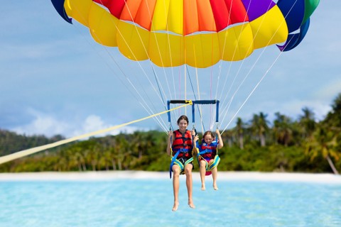 FamVeld/Shutterstock