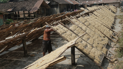 Pembuatan Mie Lethek di Yogyakarta. Foto: Andreas Fitri Atmoko/ANTARA FOTO