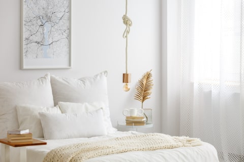 Ilustrasi Warna Cat Kamar Tidur yang Menenangkan dan Elegan. Foto: Shutterstock