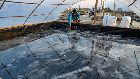 Petani membersihkan tambak garam percontohan yang dikelola dengan sistem Tunel di Palu, Sulawesi Tengah, Kamis (24/10/2019). Foto: ANTARA FOTO/Basri Marzuki