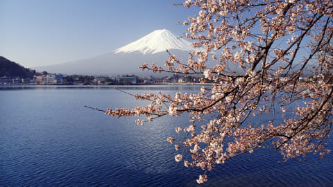 Gunung Fuji di Jepang  Foto: Thinkstock 