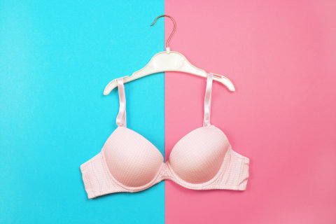 Ilustrasi Bra Foto: Shutterstock