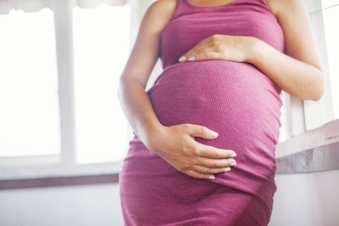 Ilustrasi perut ibu hamil. Foto: Mila Supinskaya Glashchenko/Shutterstock