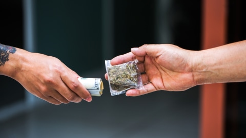 Ilustrasi transaksi ganja. Foto: Shutter stock