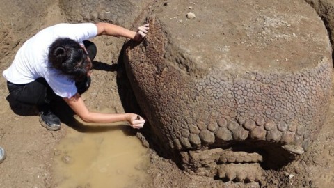 Petani Temukan Benda Aneh Di Sungai Python