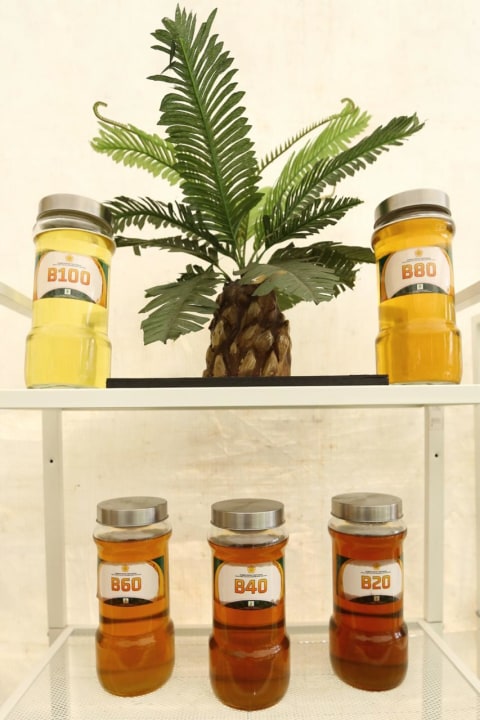 lustrasi B100. Foto: Dok. Kementerian Pertanian