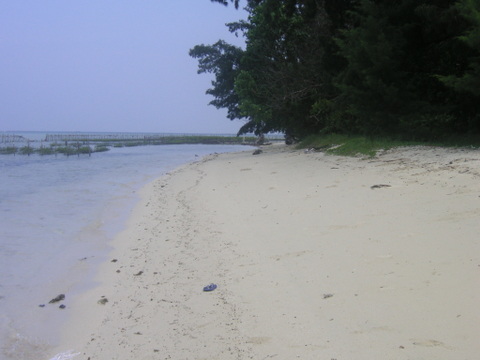Risiko Penambangan Pasir Laut Kumparan Com Risiko Penambangan Pasir Laut Kumparan Com