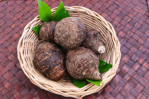 talas Foto: Shutterstock