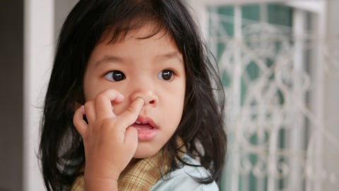 Ada cara yang bisa menghentikan kebiasaan anak mengupil Foto: Shutterstock