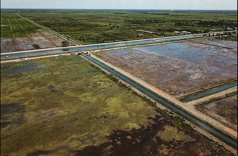 Foto udara jaringan irigasi di kawasan lumbung pangan nasional 'food estate' Dadahup di Kabupaten Kapuas, Desa Bentuk Jaya, Kalimantan Tengah, Rabu (21/4). Foto: Makna Zaezar/Antara Foto