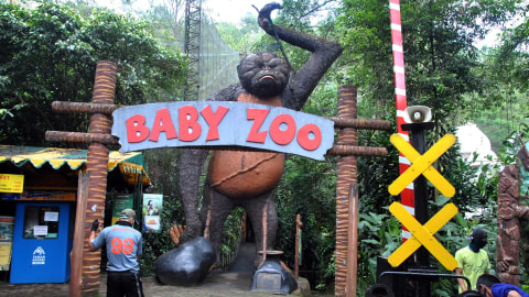 Harga Tiket Masuk Taman Safari Bogor Terbaru Maret 2021 Begini Cara Belinya Kumparan Com Wisatawan bisa berkunjung hanya dengan membayar rp 180.000 untuk grup minimal 10 orang. harga tiket masuk taman safari bogor