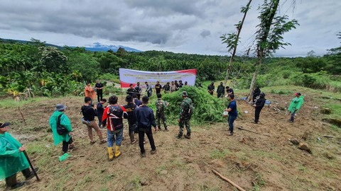 Polda Aceh dan Polda Lampung Temukan 6,28 Hektare Ladang Ganja di Provinsi Aceh