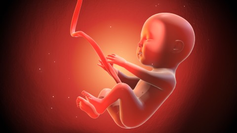 Ilustrasi gerakan bayi di dalam kandungan. Foto: yucelyilmaz/Shutterstock