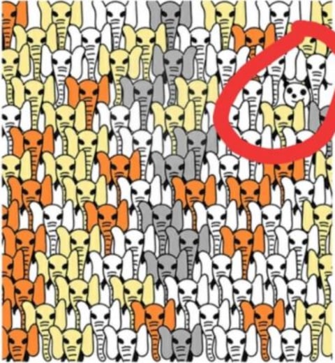 Cek Kunci Jawaban Brain Out Level 1 100 Di Sini Kumparan Com