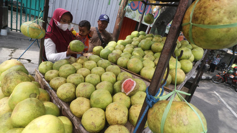 Seorang calon konsumen memilih jeruk bali (jeruk gulung) yang baru saja didatangkan dari Madiun, di Kota Kediri, Jawa Timur, Senin (4/4/2022).  Foto: Prasetia Fauzani/ANTARA FOTO