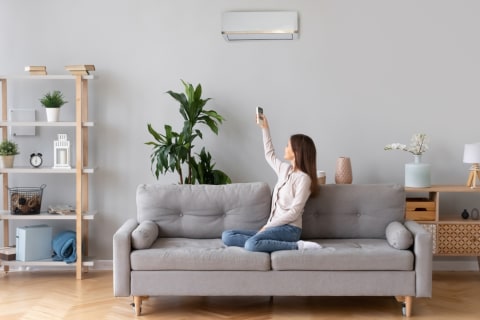 Cara Tepat Memilih Peralatan Elektronik Rumah Tangga yang Hemat Energi. Foto: Shutterstock