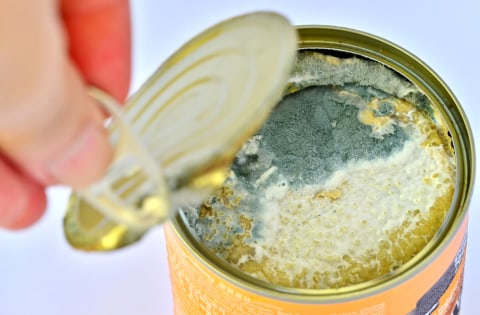 Ilustrasi makanan kedaluwarsa Foto: dok.shutterstock