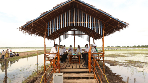 Sejumlah menteri saat mengunjungi food estate di Desa Bentuk Jaya (A5), Kecamatan Dadahup, Kabupaten Kapuas, Kalimantan Tengah, Selasa (6/4). Foto: Kementan RI
