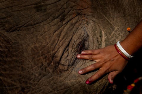 Anupam Nath/AP Photo