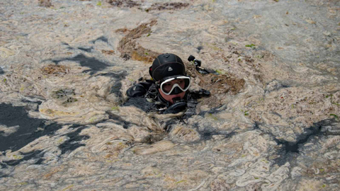 Foto: 'Ingus Laut' yang Menutupi Laut Marmara di Turki (1)