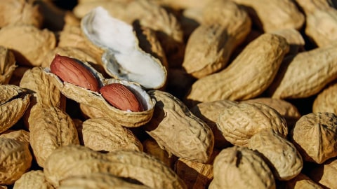 Bukan Digoreng Ini Cara Yang Tepat Mengolah Kacang Tanah