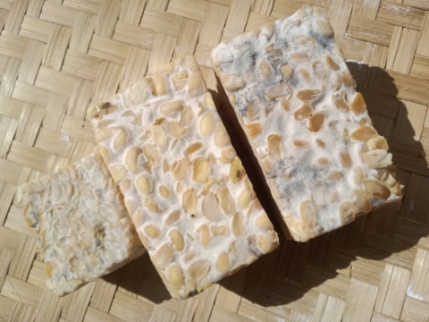 Ilustrasi tempe semangit Foto: dok.shutterstock