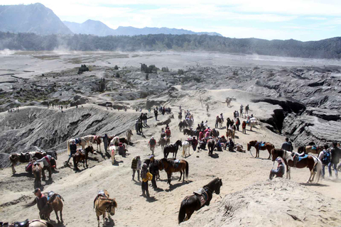 Foto: Berkuda di Kawasan Wisata Gunung Bromo (1)