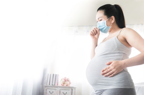 Ilustrasi ibu hamil terpapar kabut asap Foto: Shutterstock