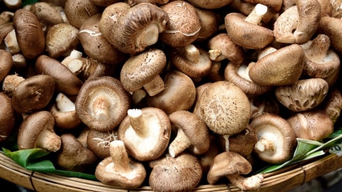 jamur shiitake Foto: Shutterstock
