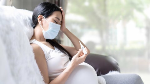 Ilustrasi ibu hamil demam. Foto: Shutter Stock