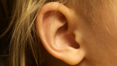ilustrasi telinga wanita. Foto: Flickr