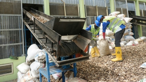 Petuga menyiapkan bahan baku Pembangkit Listrik Tenaga Biomassa (PLTBm) Berbahan Bakar Bambu di Pulau Siberut, Kepulauan Mentawai, Sumatera Barat. Foto: Resya Firmansyah/kumparan