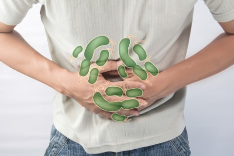 Ilustrasi infeksi bakteri salmonella Foto: dok.Shutterstock