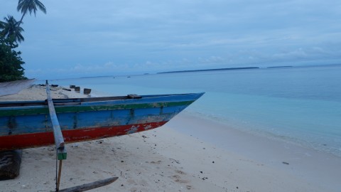 Sari Kusuma Dewi/kumparan