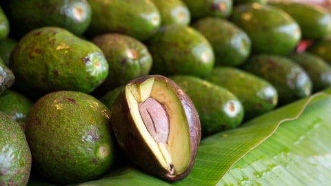 Ilustrasi buah alpukat. Foto: Getty Images