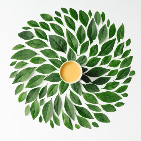 Ilustrasi teh hijau Foto: dok.shutterstock