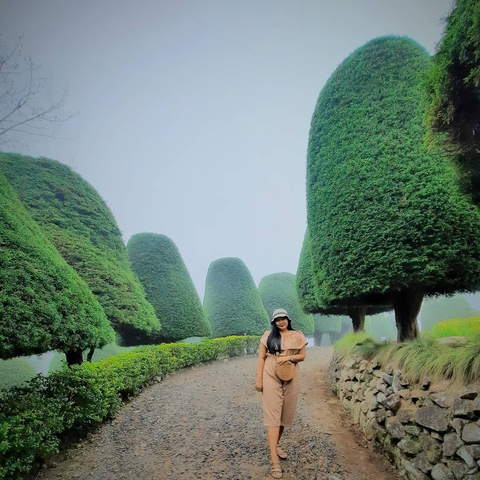 Bukit Jamur Ciwidey, Bandung. Foto: Instagram @bellafwijaya