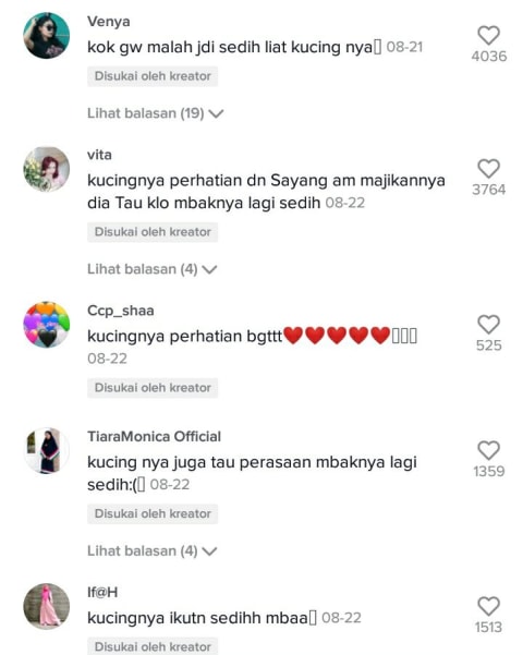 Pemiliknya Tengah Sedih Tingkah Laku Kucing Ini Curi Perhatian Netizen Kumparan Com Kumpulan ccp teks random terbaru keren lucu bucin sedih baper part 17. pemiliknya tengah sedih tingkah laku
