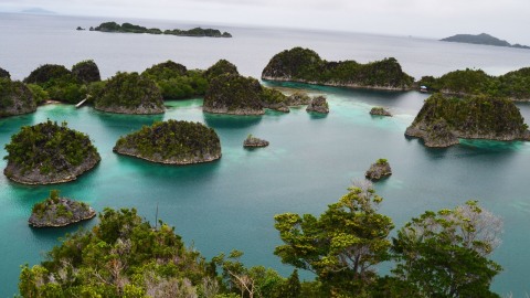 Pianemo Raja Ampat. Foto: Muhammad Iqbal/kumparan