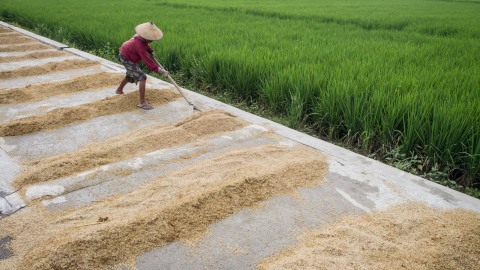 3 Petani Sukses Indonesia Yang Menginspirasi Banyak Orang Kumparan Com 3 Petani Sukses Indonesia Yang Menginspirasi Banyak Orang Kumparan Com