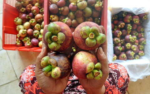Ilustrasi buah manggis. Foto: Iggoy el Fitra/Antara Foto
