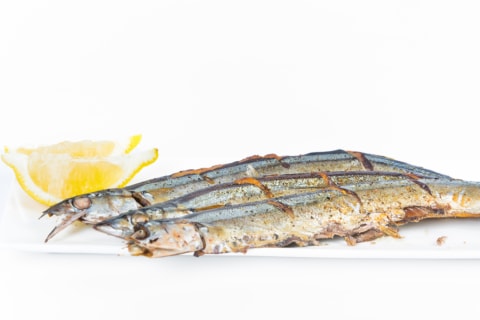 com-Ikan dengan kandungan merkuri tinggi Foto: Shutterstock
