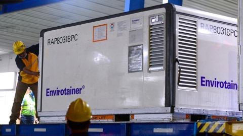 MUI soal Audit Kehalalan Vaksin Sinovac: Masih Ada Satu Dokumen yang Kurang (2)