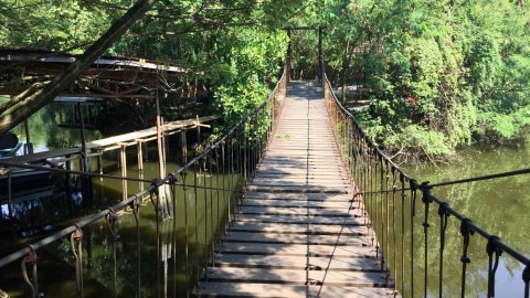 7 Fasilitas Yang Bisa Dinikmati Di Taman Wisata Alam Angke Kapuk Kumparan Com