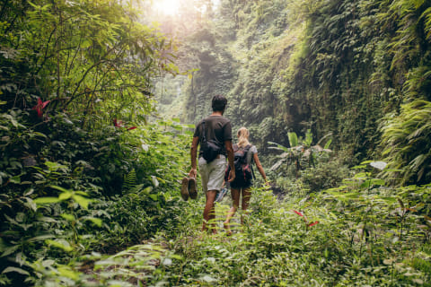 Ilustrasi naik gunung Foto: Dok. Thinkstock