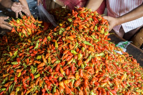 Pedagang memilah cabai rawit merah di Pasar Induk Kramat Jati, Jakarta, Rabu (22/12/2021). Foto: Galih Pradipta/Antara Foto