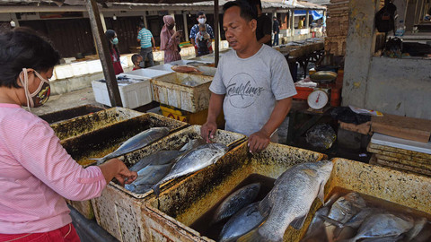 Pedagang menunjukkan ikan segar di Pelabuhan Perikanan Nusantara (PPN) Karangantu, Serang, Banten, Sabtu (18/7/2020).  Foto: ASEP FATHULRAHMAN/ANTARA FOTO