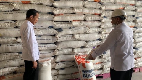 Presiden Joko Widodo (kiri) didampingi Dirut Bulog, Budi Waseso, meninjau beras di Gudang Bulog Kelapa Gading, Jakarta, Rabu (18/3). Foto: Dok. Biro Pers Media dan Informasi Sekretariat Presiden