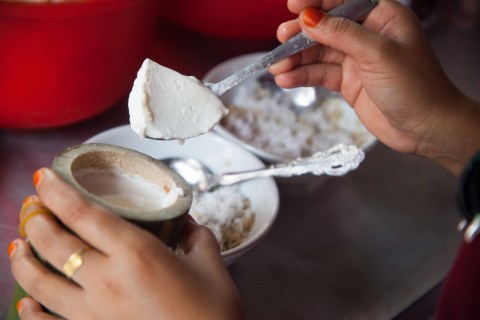 Ilustrasi dadiah, yoghurt khas Sumatera Barat Foto: dok.Shutterstock