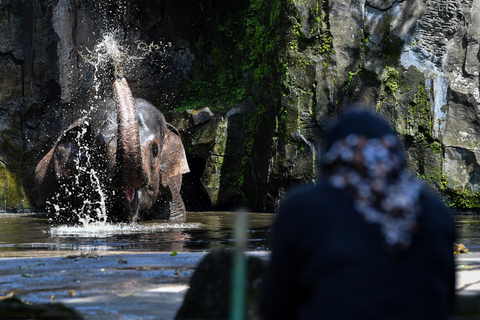 Melihat Situasi Tempat Wisata di Hari Kedua Lebaran: Ancol hingga Ragunan (4)